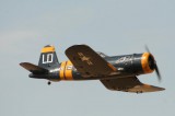 IMG 7295